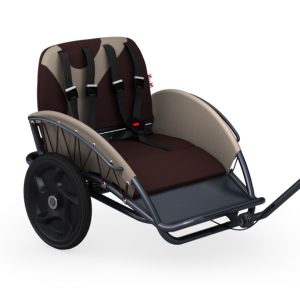 Crossbuggy Modell "Earth"