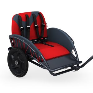 Crossbuggy Modell "Explorer"