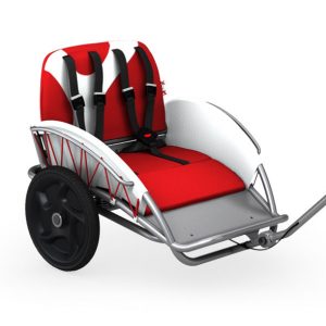 Crossbuggy Modell "Swiss"